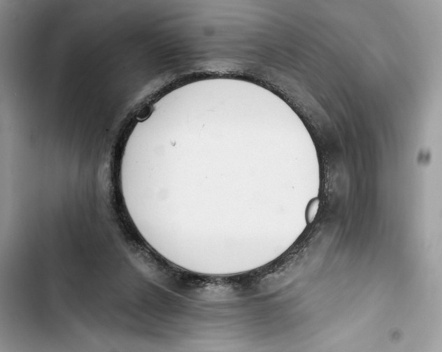 X0000103400256200810031230