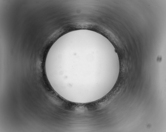 X0000103400258200810031231