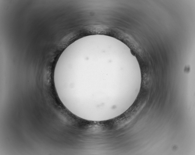 X0000103400259200810031231