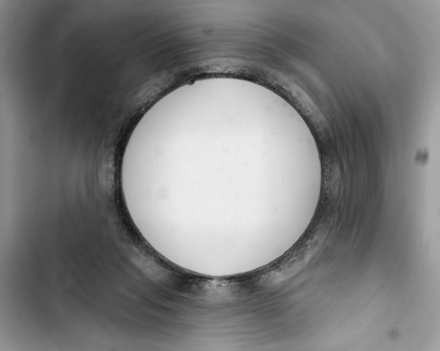 X0000103400261200810031231