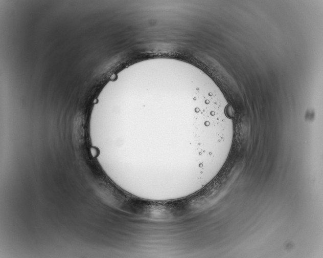 X0000103400264200810031231