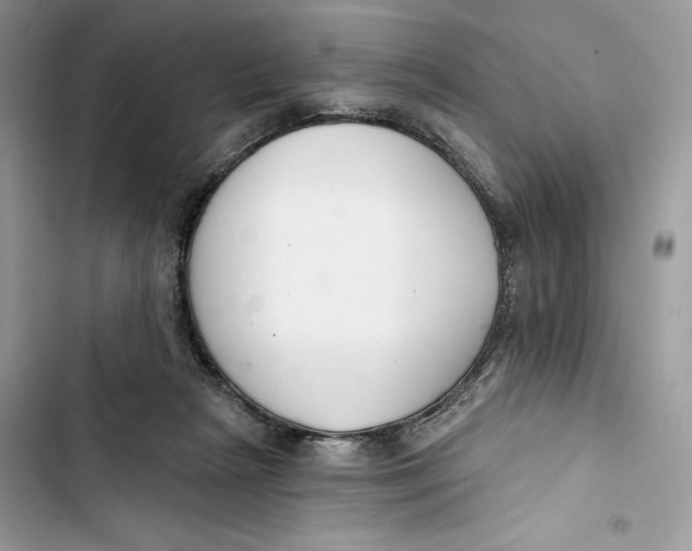 X0000103400265200810031231