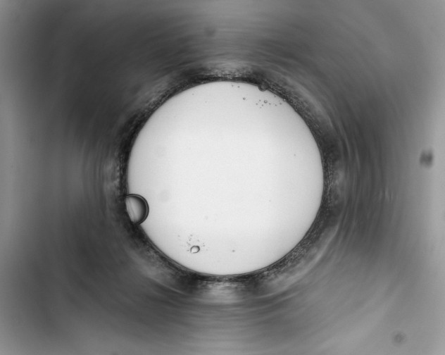 X0000103400268200810031231