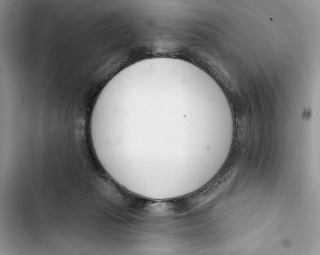 X0000103400269200810031231