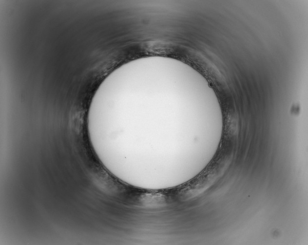 X0000103400271200810031231