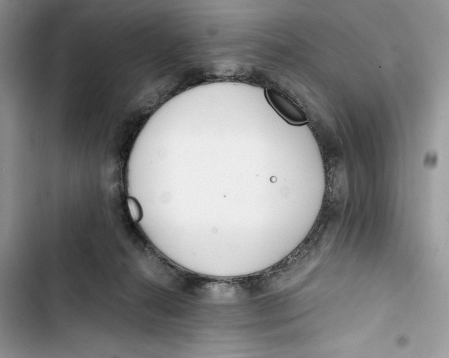 X0000103400272200810031231