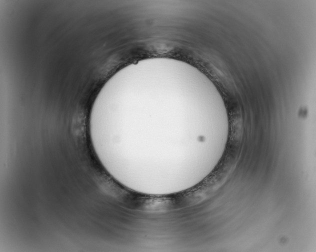 X0000103400274200810031231