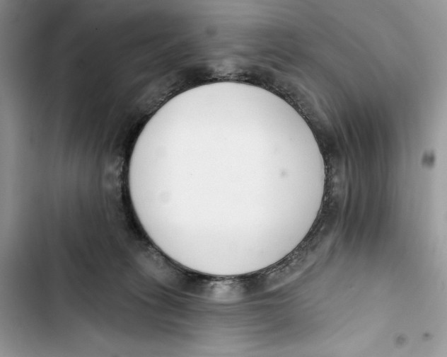 X0000103400275200810031231