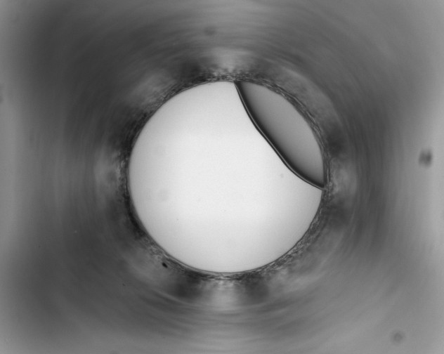 X0000103400276200810031231