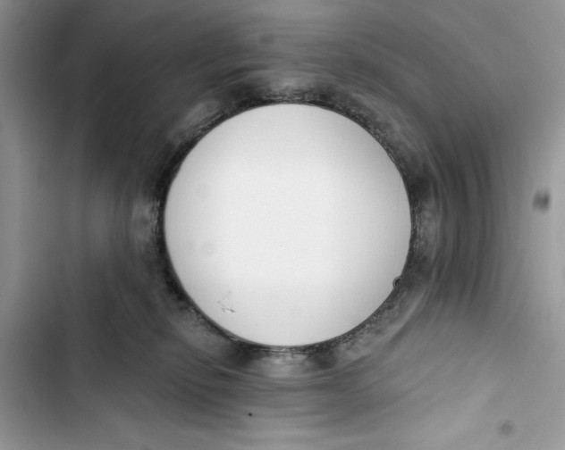 X0000103400278200810031231