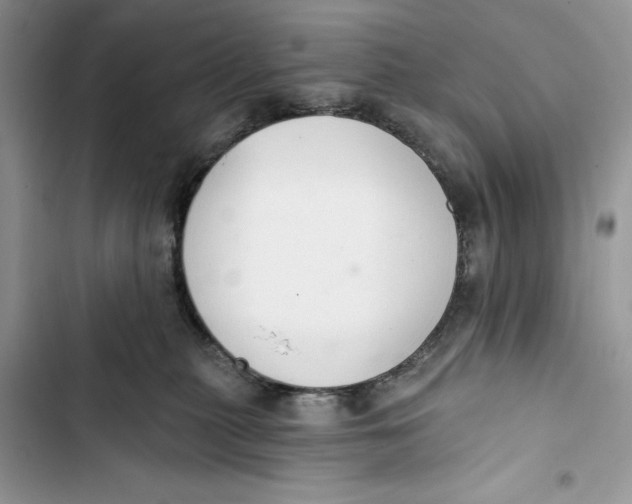 X0000103400279200810031231