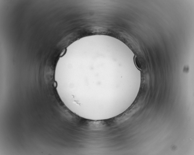 X0000103400281200810031231