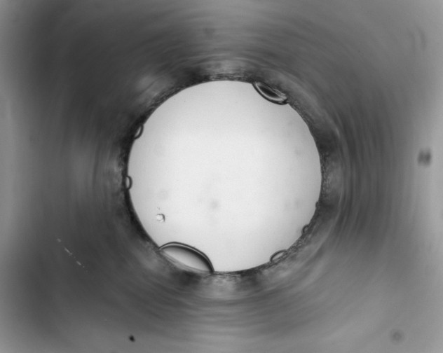 X0000103400282200810031231