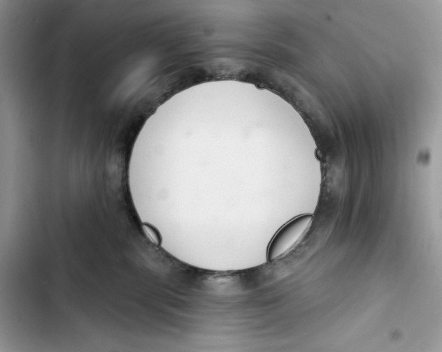 X0000103400283200810031231