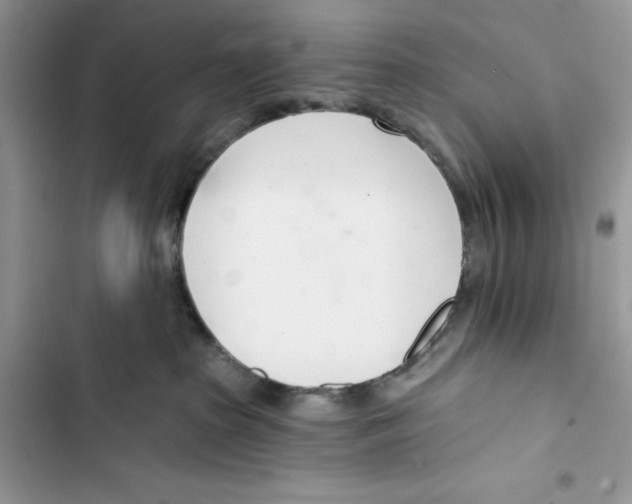 X0000103400285200810031231