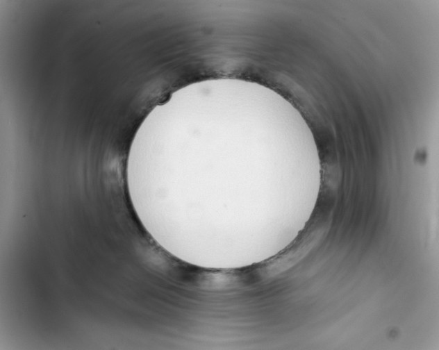 X0000103400286200810031231