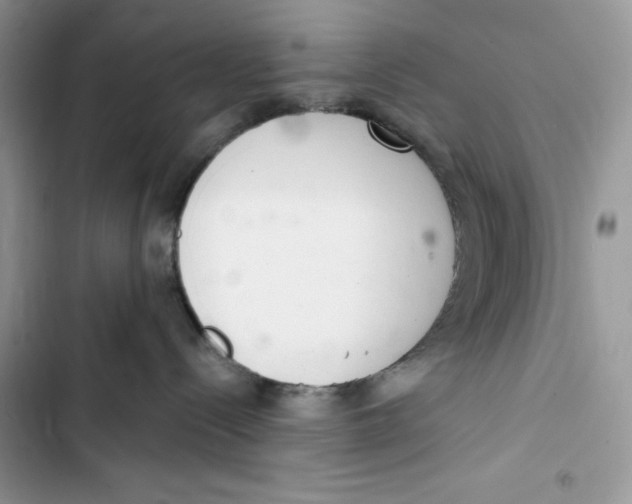 X0000103400288200810031231