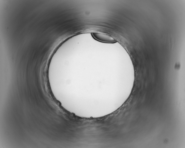 X0000103400289200810031230