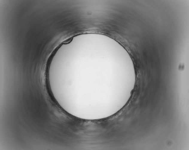 X0000103400290200810031230