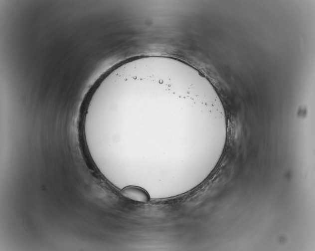 X0000103400292200810031230