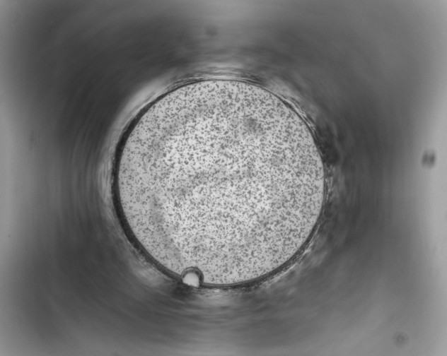 X0000103400293200810031230