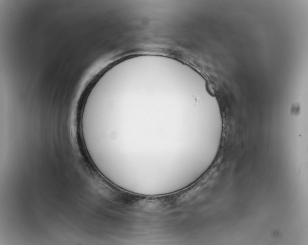 X0000103400294200810031230