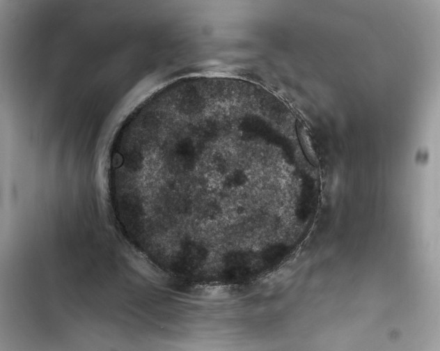 X0000103400295200810031230