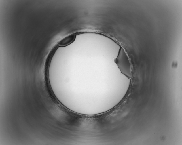 X0000103400296200810031230