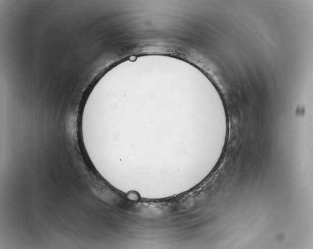 X0000103400297200810031230