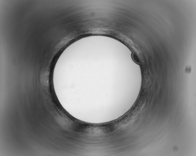 X0000103400299200810031230