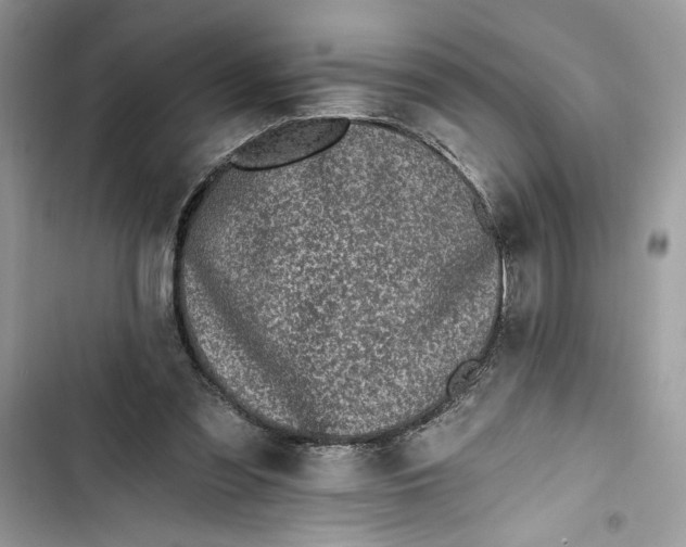 X0000103400301200810031230