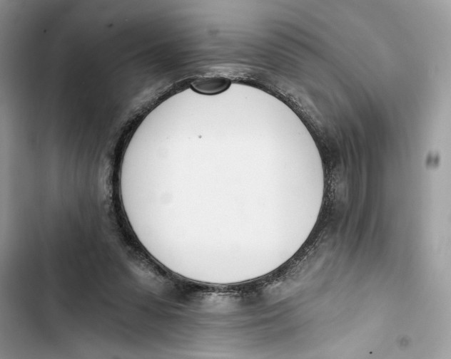 X0000103400303200810031230