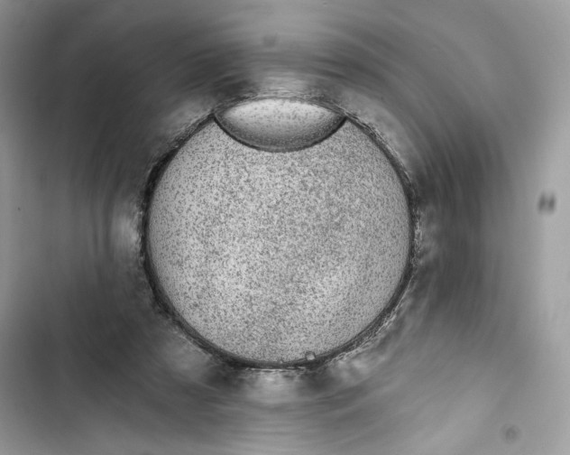 X0000103400305200810031230