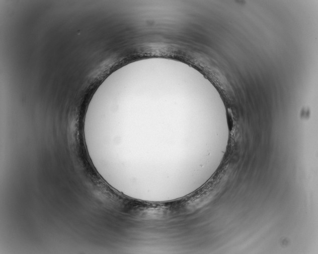 X0000103400306200810031230