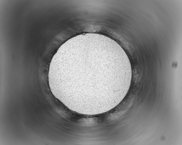 X0000103400307200810031230