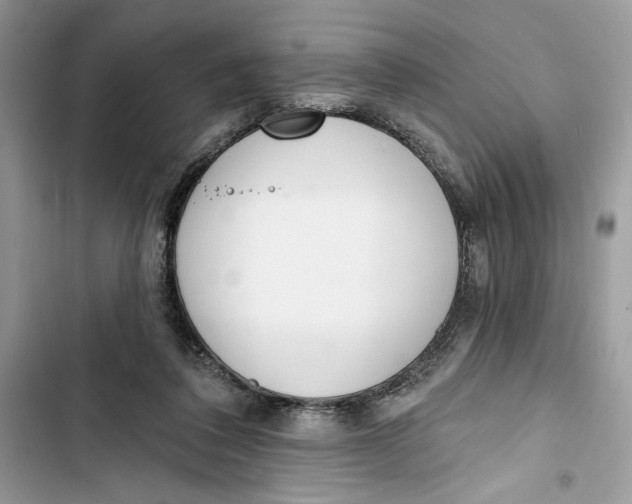 X0000103400308200810031230