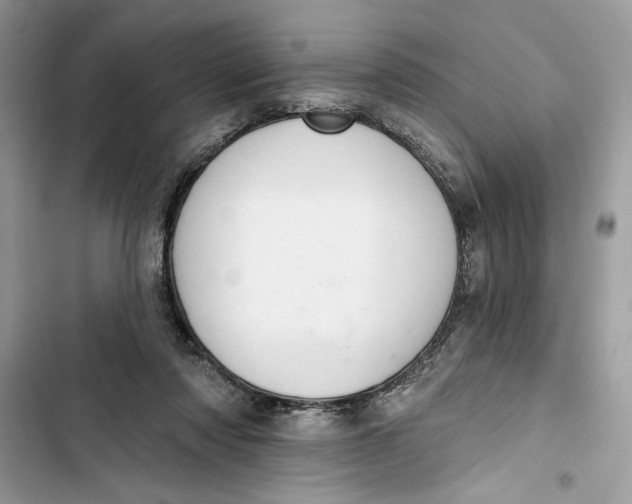 X0000103400310200810031230