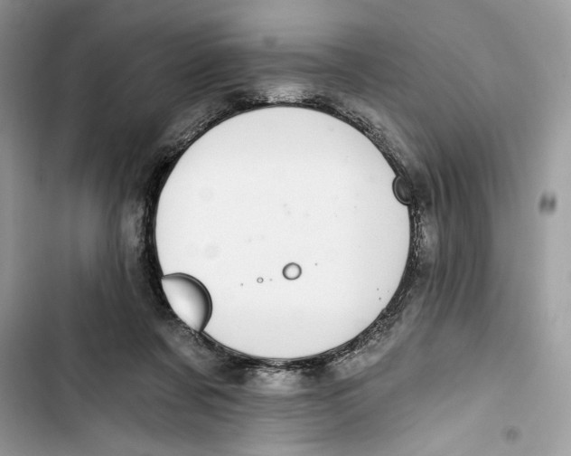 X0000103400311200810031230