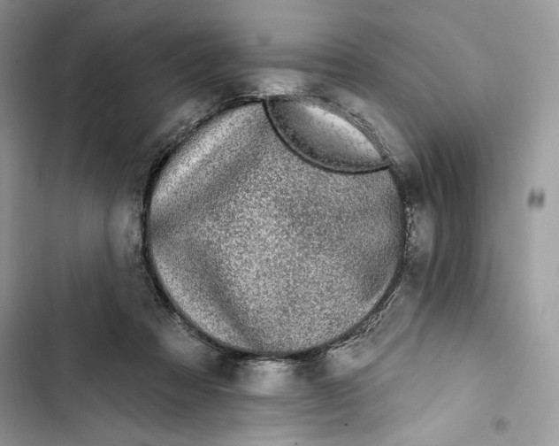 X0000103400313200810031230