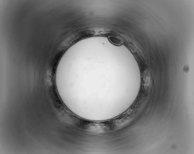 X0000103400316200810031230