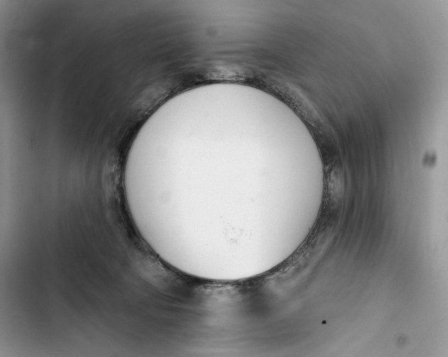 X0000103400322200810031230