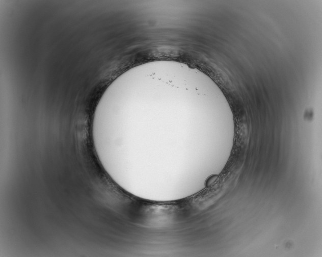 X0000103400323200810031230