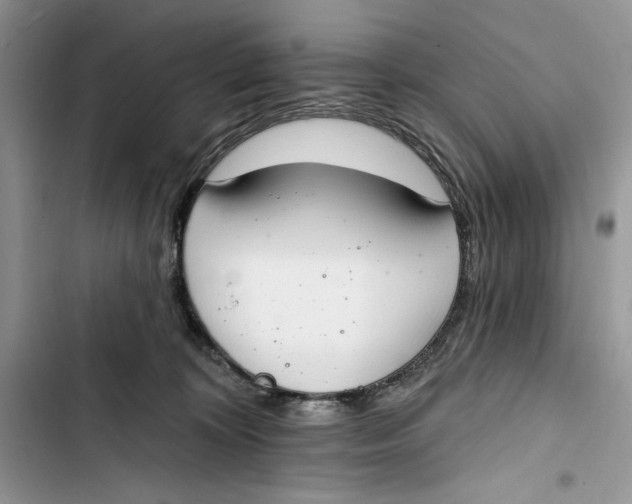 X0000103400324200810031230