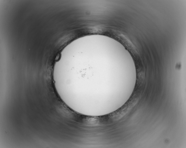 X0000103400325200810031230