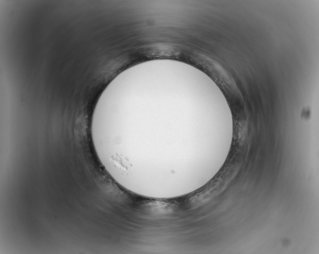 X0000103400326200810031230