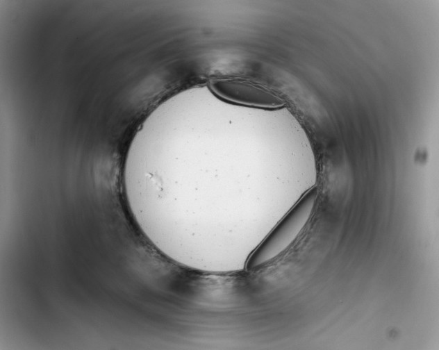 X0000103400328200810031230