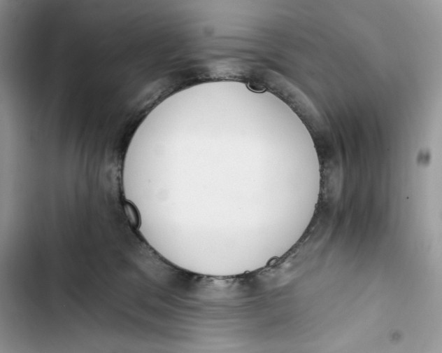 X0000103400329200810031230