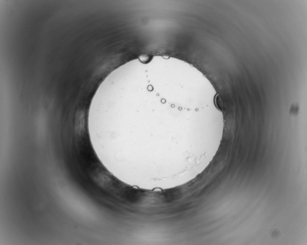 X0000103400335200810031230