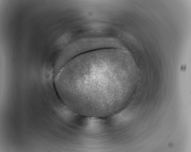 X0000103400336200810031230