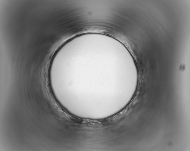 X0000103400337200810031229